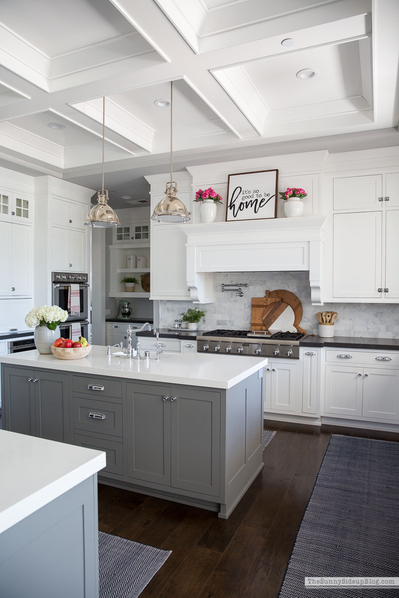 Organized Kitchen (Sunny Lifestyles)