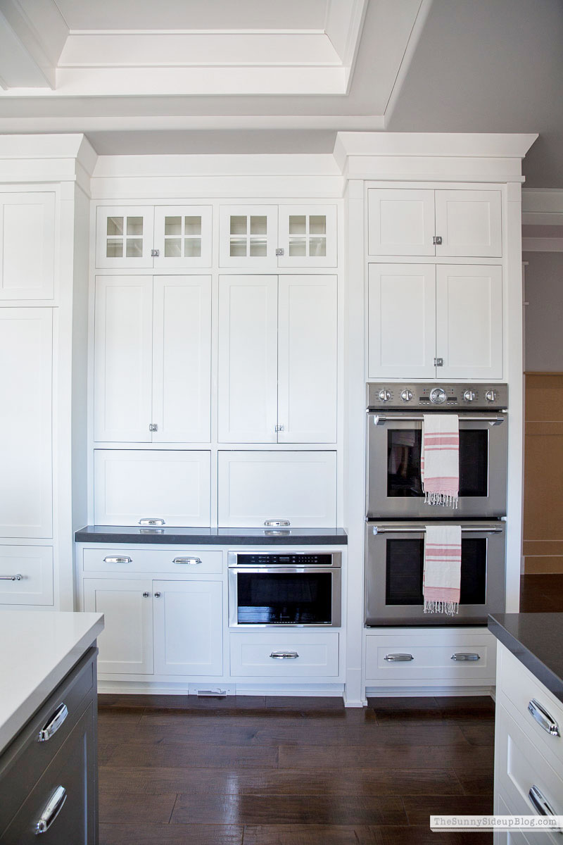 Organized Kitchen (Sunny Lifestyles)