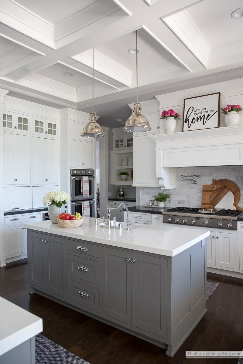 Organized Kitchen (Sunny Lifestyles)