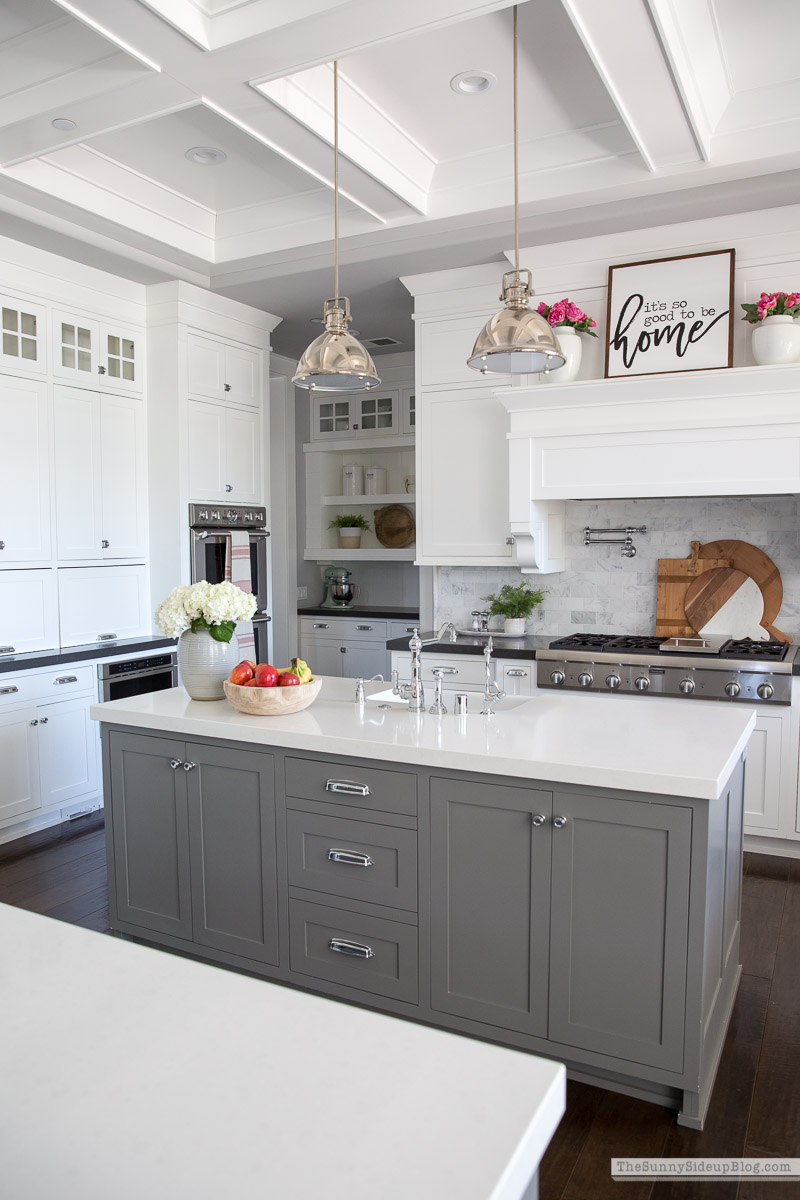 Organized Kitchen (Sunny Lifestyles)