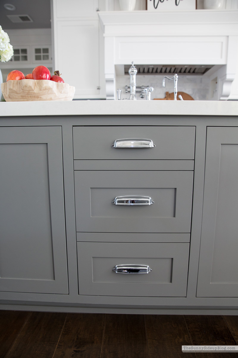 Organized Kitchen (Sunny Lifestyles)