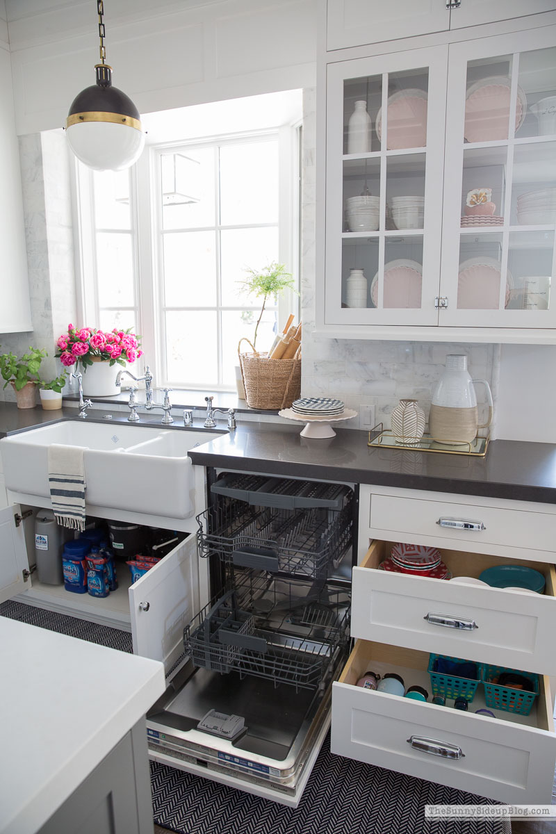 Organized Kitchen (Sunny Lifestyles)