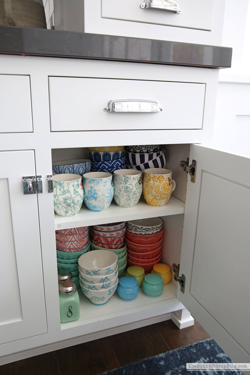 Organized Kitchen (Sunny Lifestyles)