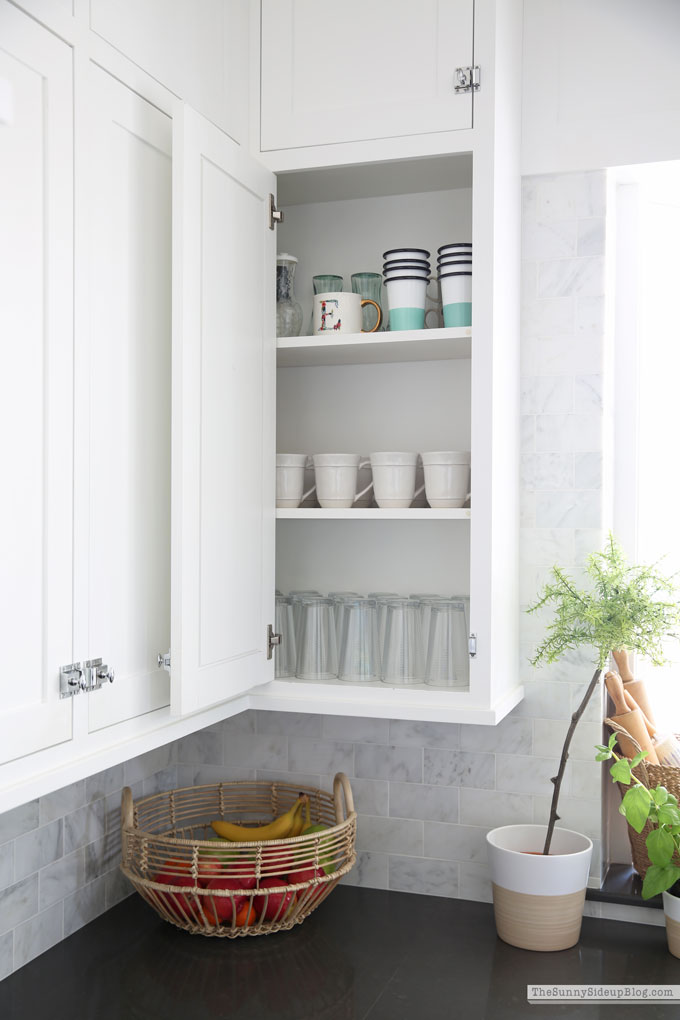 Organized Kitchen (Sunny Lifestyles)