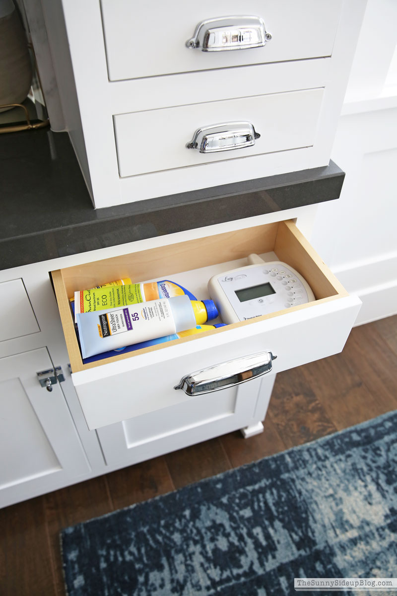 Organized Kitchen (Sunny Lifestyles)