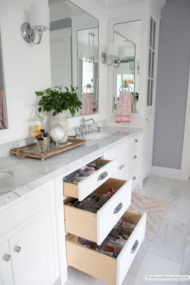 Organized Bathroom Drawers (Sunny Lifestyles)
