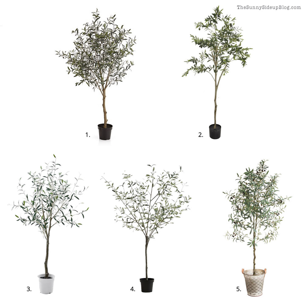 Favorite Fig trees (Sunny Lifestyles)