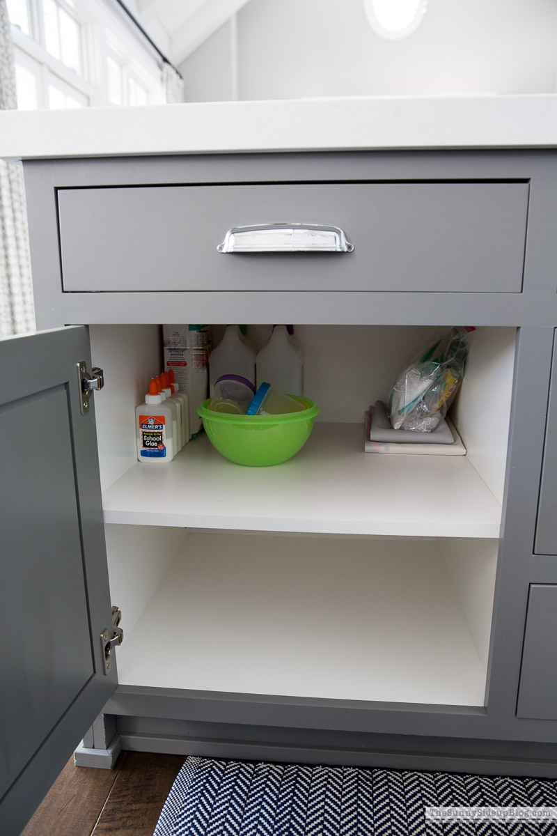 Organized Kitchen (Sunny Lifestyles)