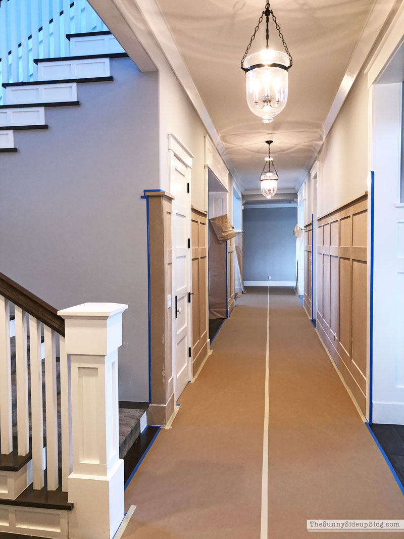 Hallway Molding (Sunny Lifestyles)