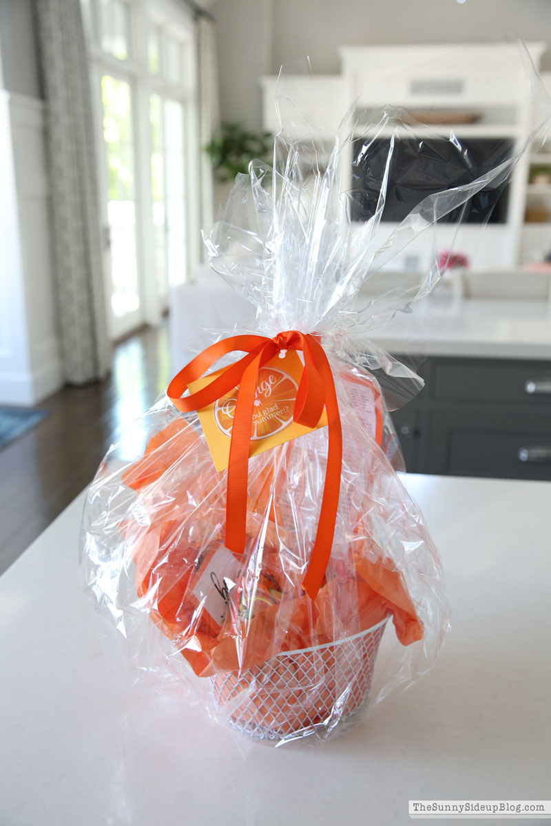 4th of July decor (Sunny Lifestyles)