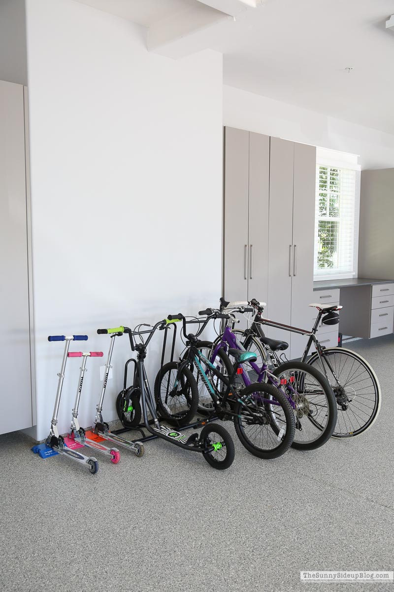 Organized Bikes (Sunny Lifestyles)