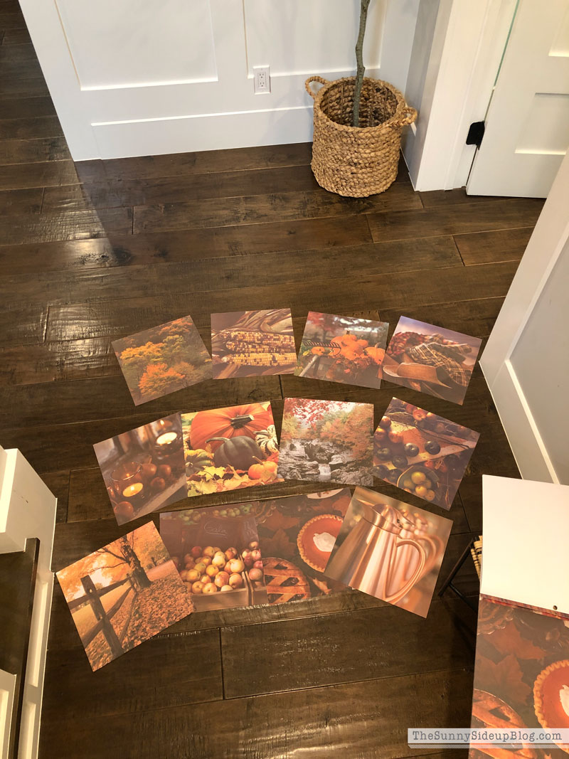Fall decor (Sunny Lifestyles)