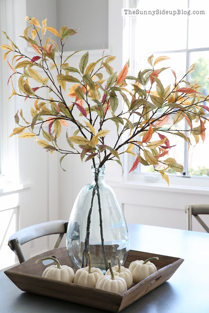 Favorites for Fall (Sunny Lifestyles)