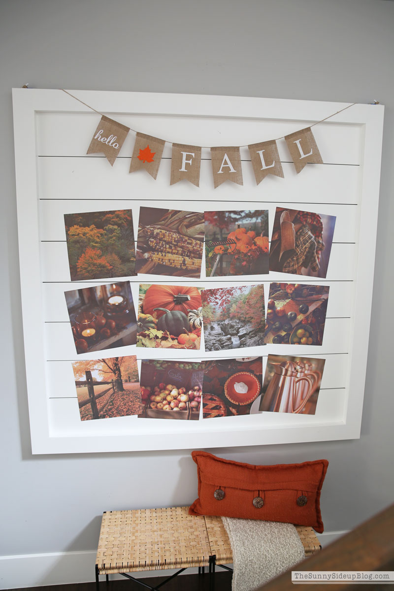 Fall decor (Sunny Lifestyles)
