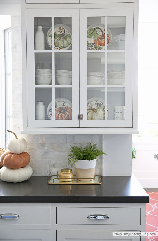 Favorites for Fall (Sunny Lifestyles)