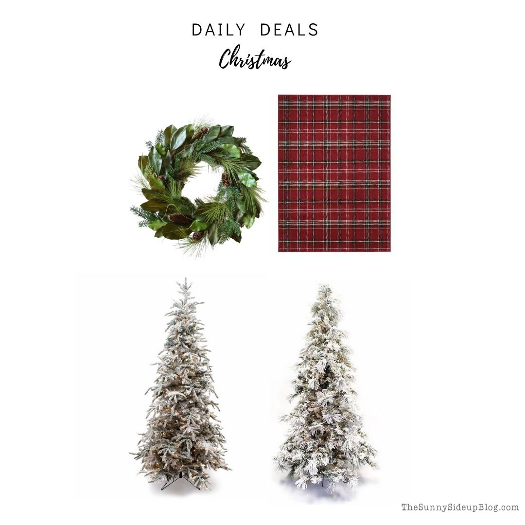 Christmas trees! (Sunny Lifestyles)