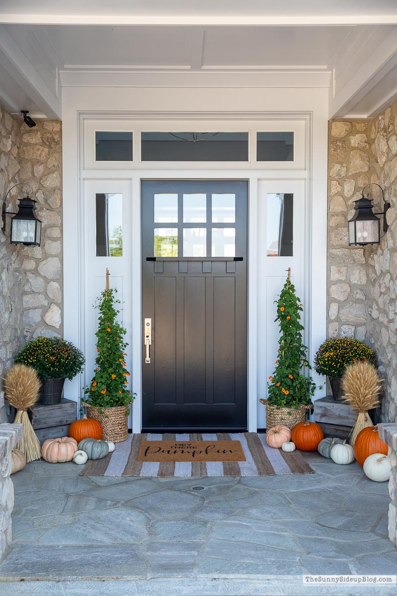 Fall Front Porch (Sunny Lifestyles)