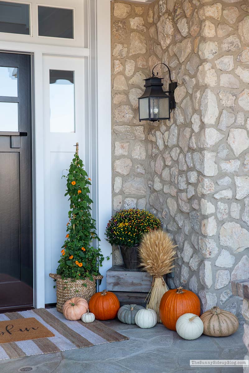 Fall Front Porch (Sunny Lifestyles)