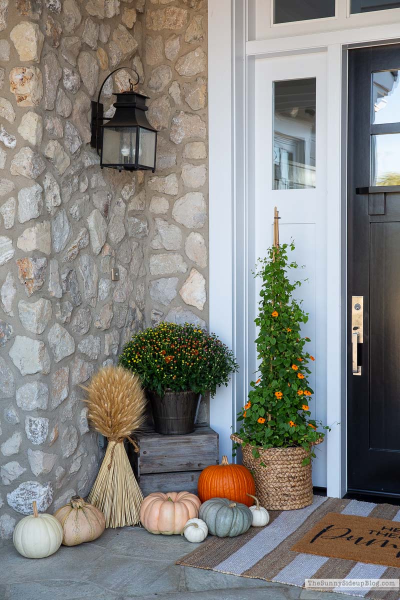 Fall Front Porch (Sunny Lifestyles)