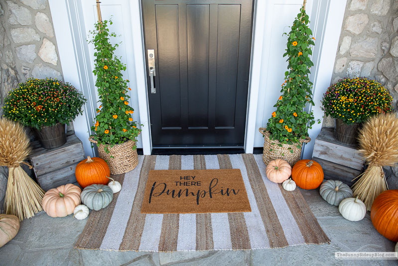 Fall Front Porch (Sunny Lifestyles)