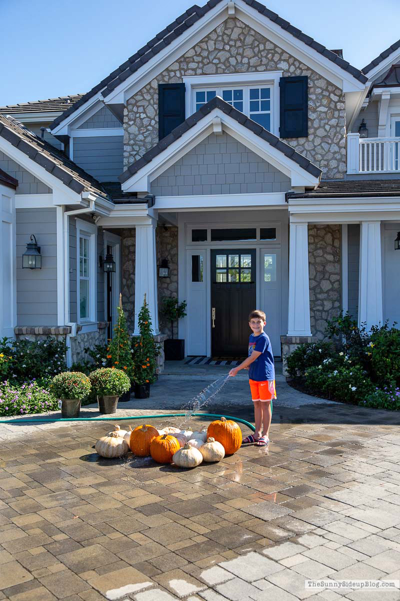 Fall Front Porch (Sunny Lifestyles)