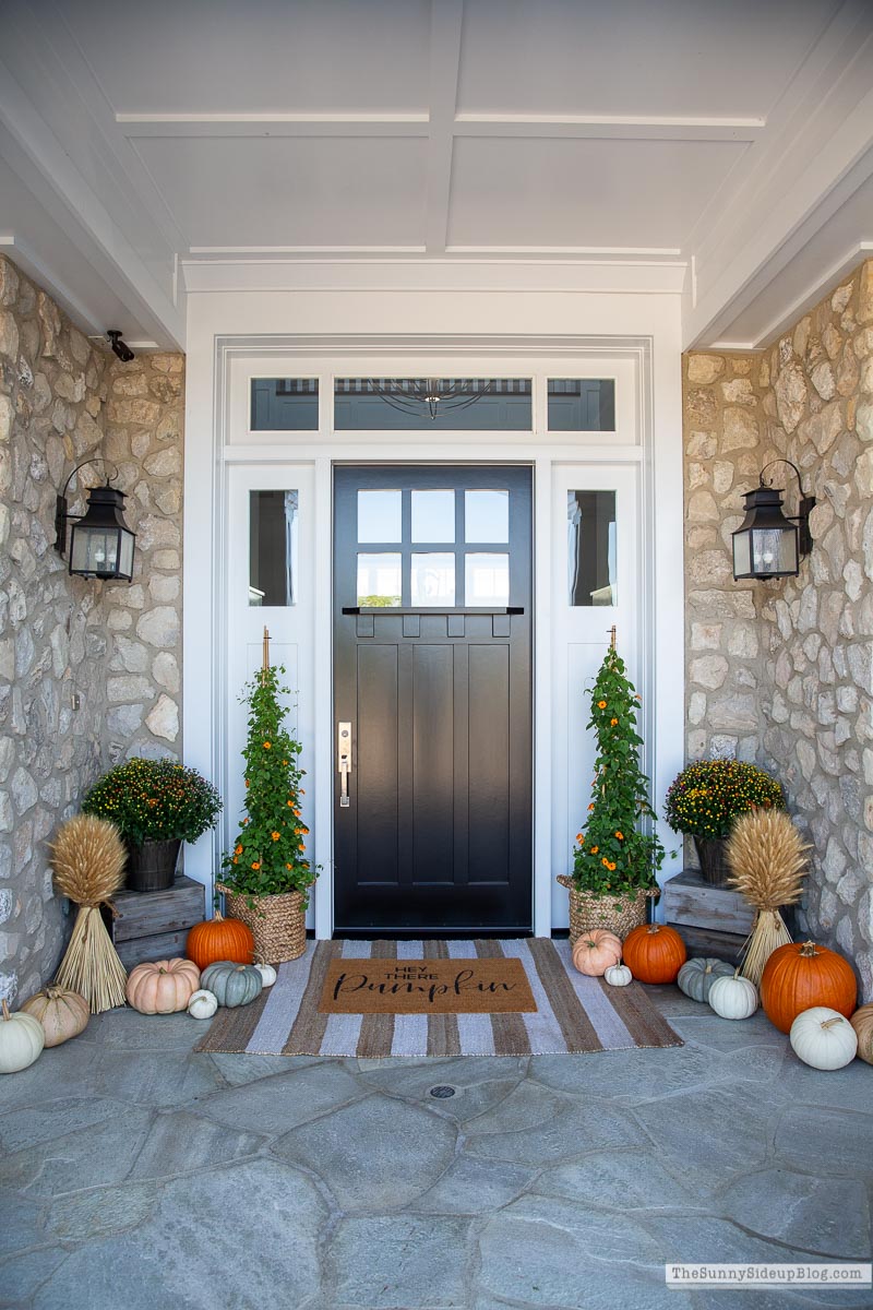 Fall Front Porch (Sunny Lifestyles)
