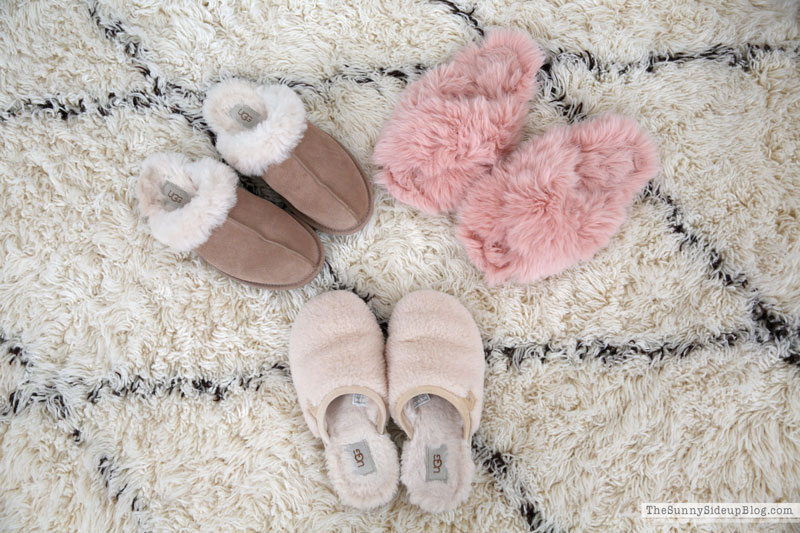 Holiday Gift Ideas (Sunny Lifestyles)