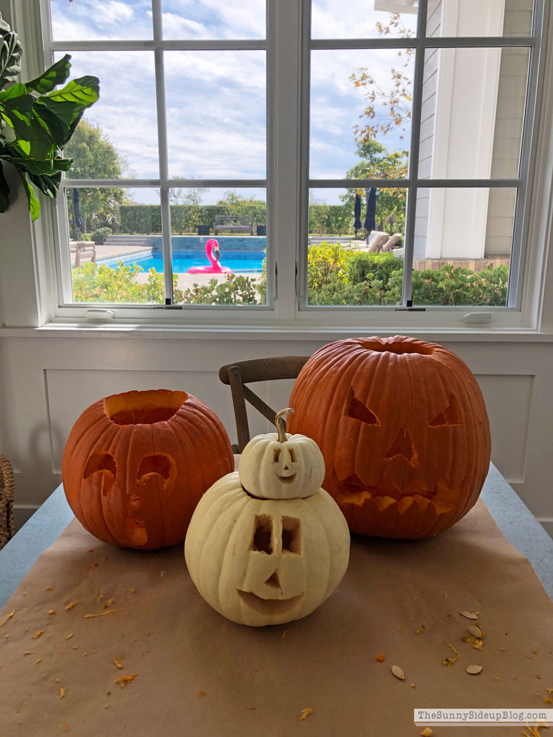 Halloween (Sunny Lifestyles)