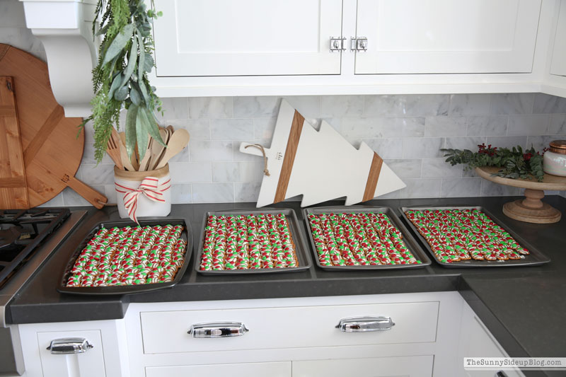 Christmas Decor (Sunny Lifestyles)