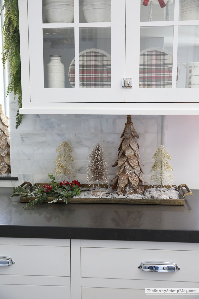 Christmas Kitchen (Sunny Lifestyles)