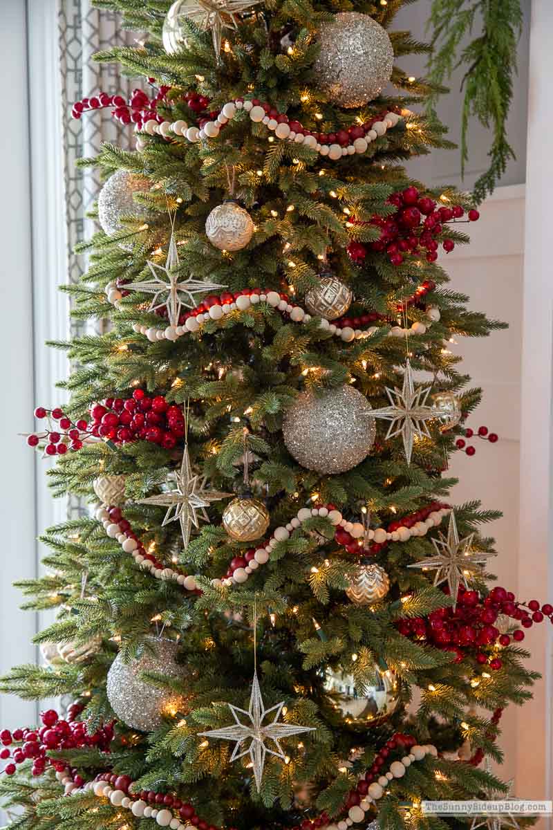 Christmas Family Room (Sunny Lifestyles)