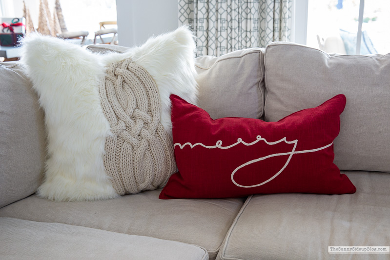 Christmas Family Room (Sunny Lifestyles)