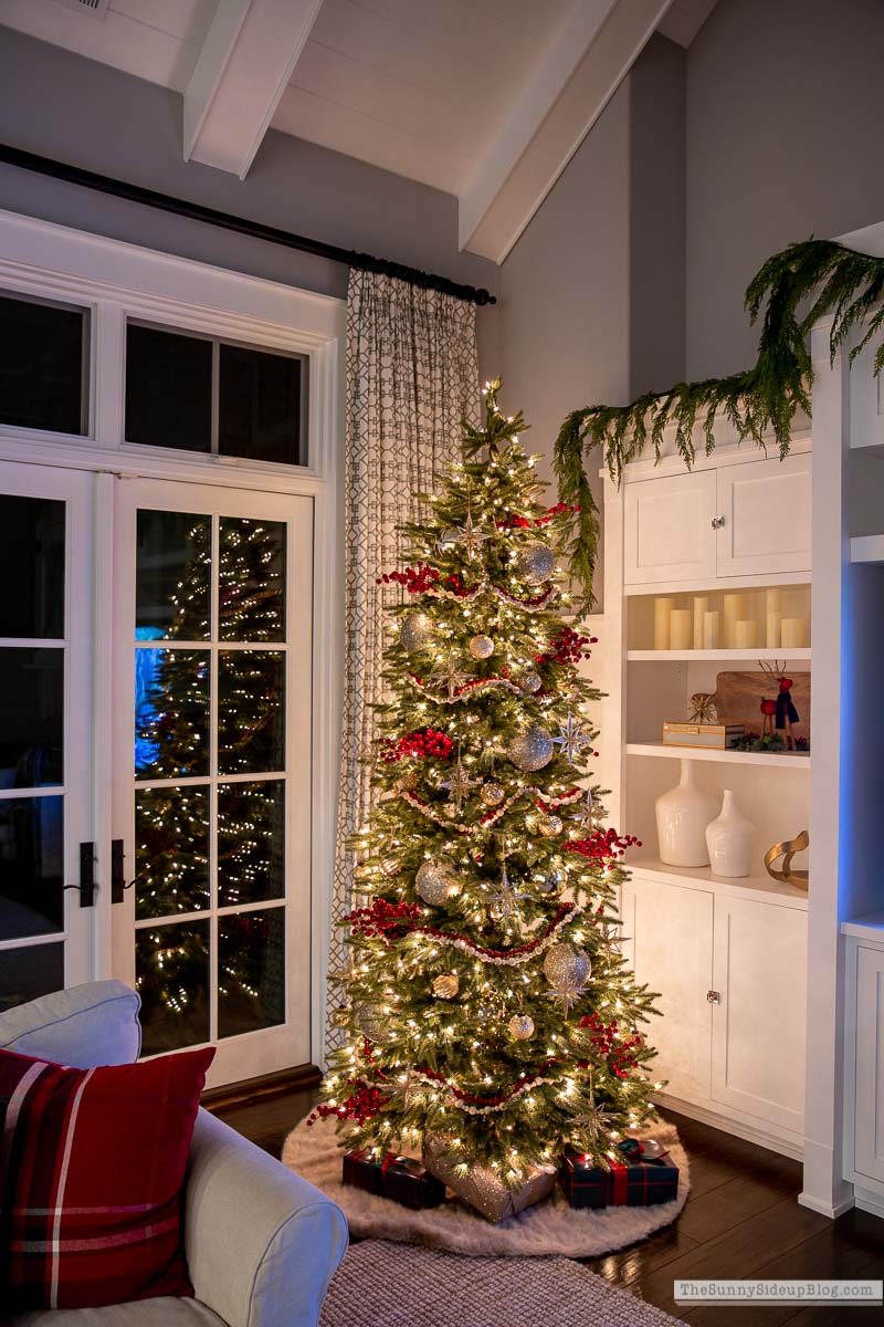 Christmas Family Room (Sunny Lifestyles)