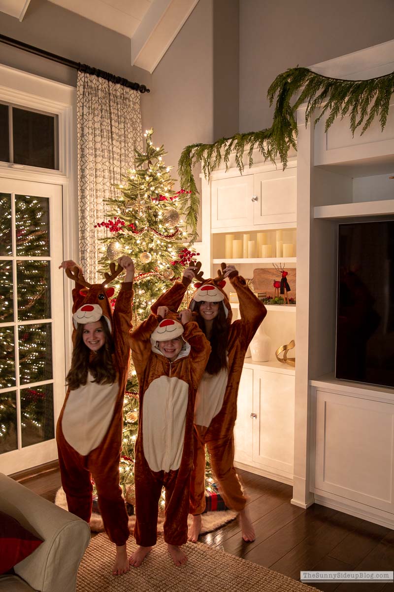 Christmas Family Room (Sunny Lifestyles)