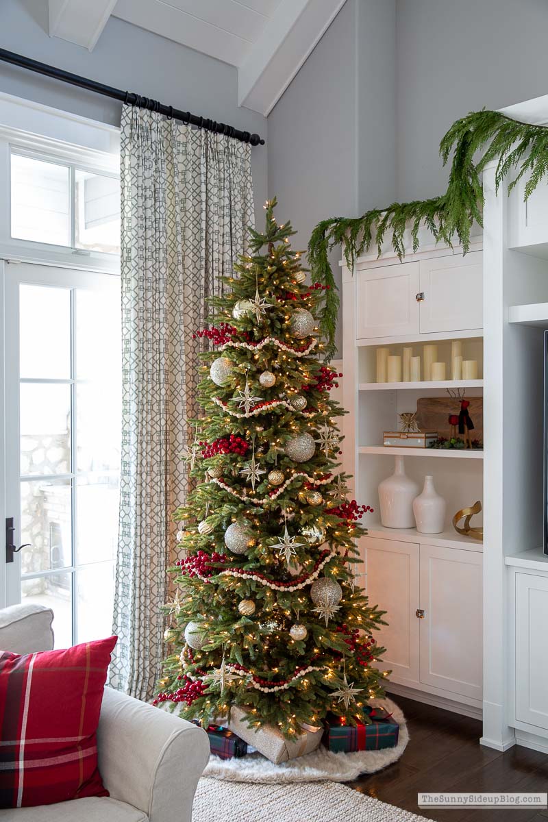 Christmas Family Room (Sunny Lifestyles)