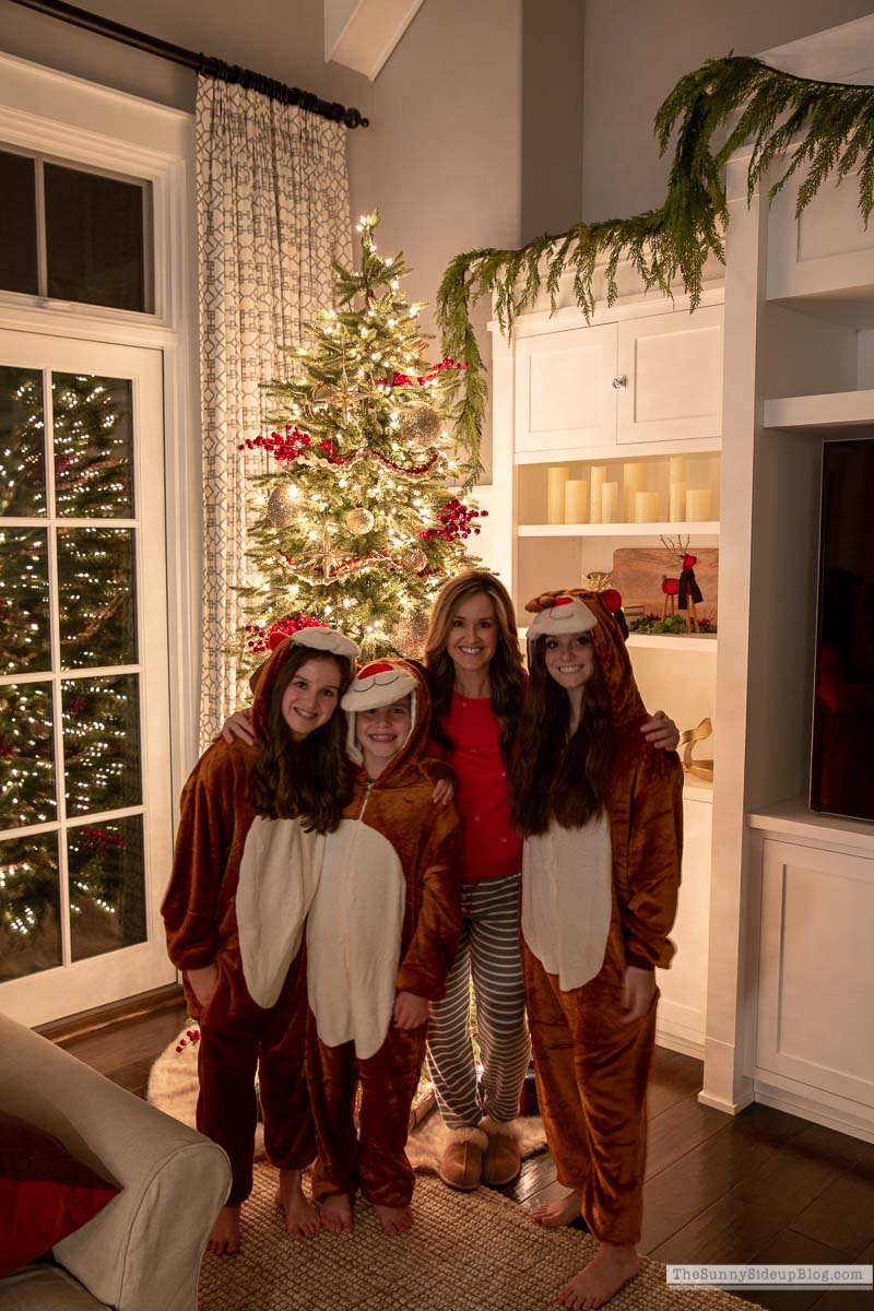 Christmas Family Room (Sunny Lifestyles)