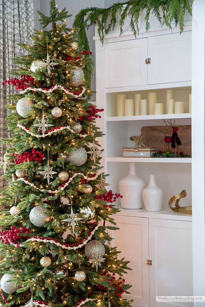 Christmas Family Room (Sunny Lifestyles)