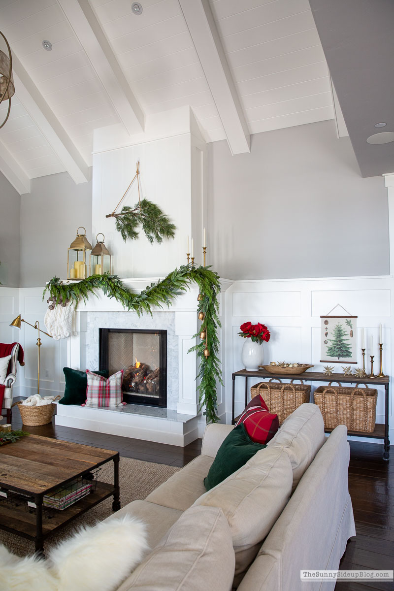 Christmas Family Room (Sunny Lifestyles)