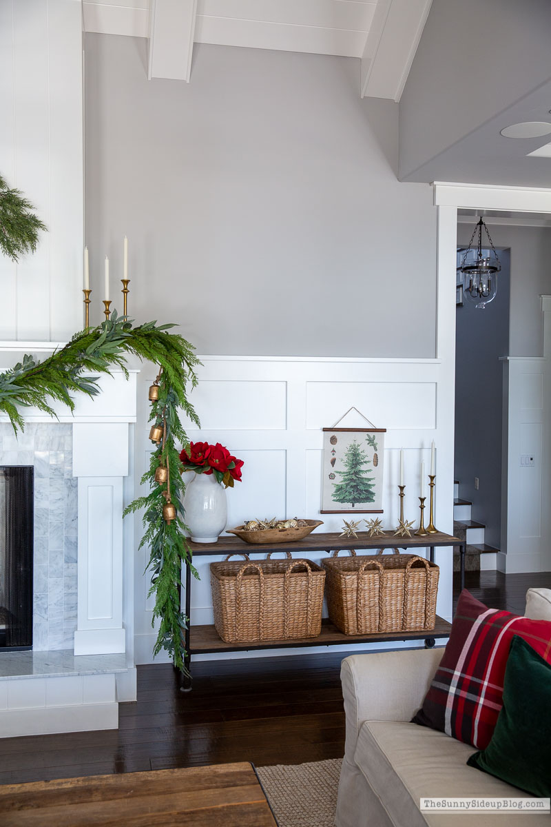 Christmas Family Room (Sunny Lifestyles)