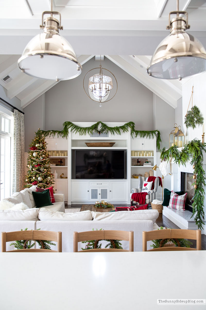Christmas Family Room (Sunny Lifestyles)