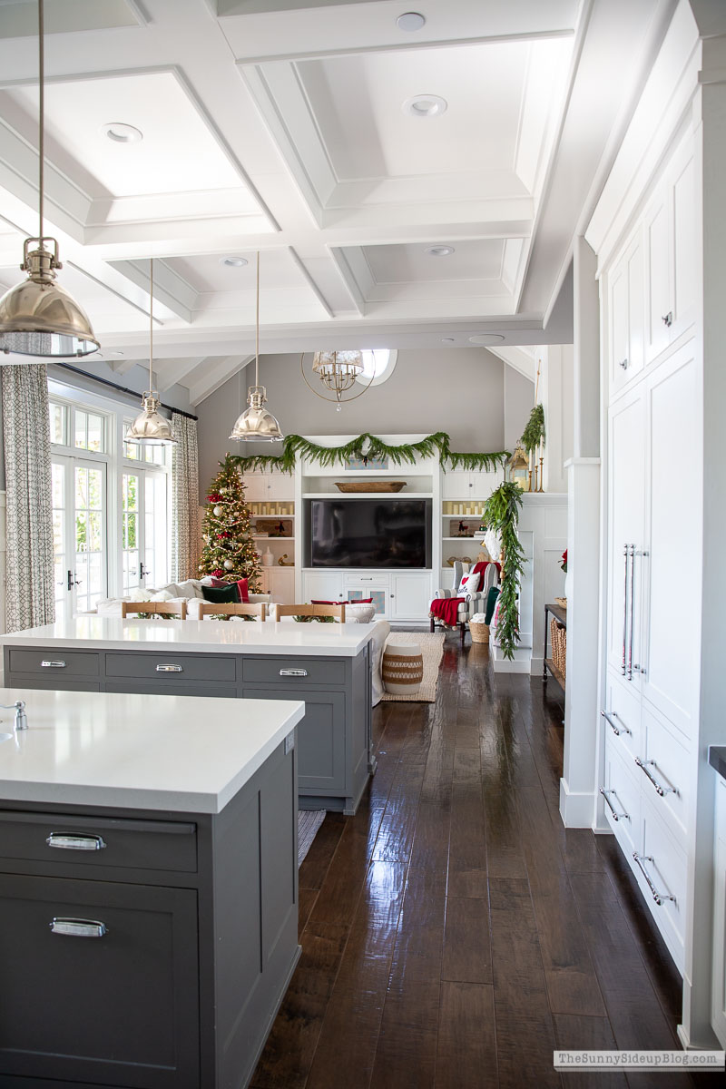 Christmas Family Room (Sunny Lifestyles)