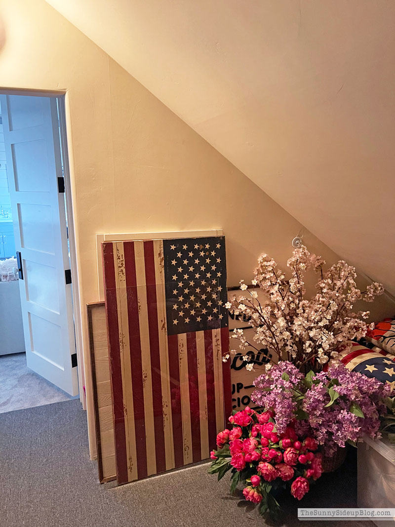 Holiday Decor Storage (Sunny Lifestyles)