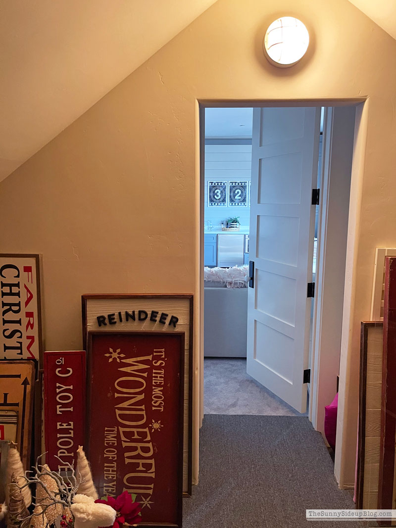 Holiday Decor Storage (Sunny Lifestyles)