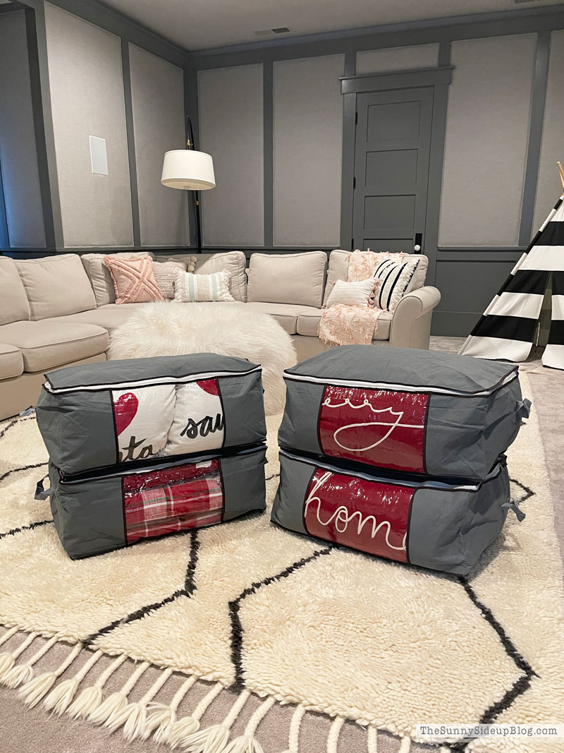 Holiday Decor Storage (Sunny Lifestyles)