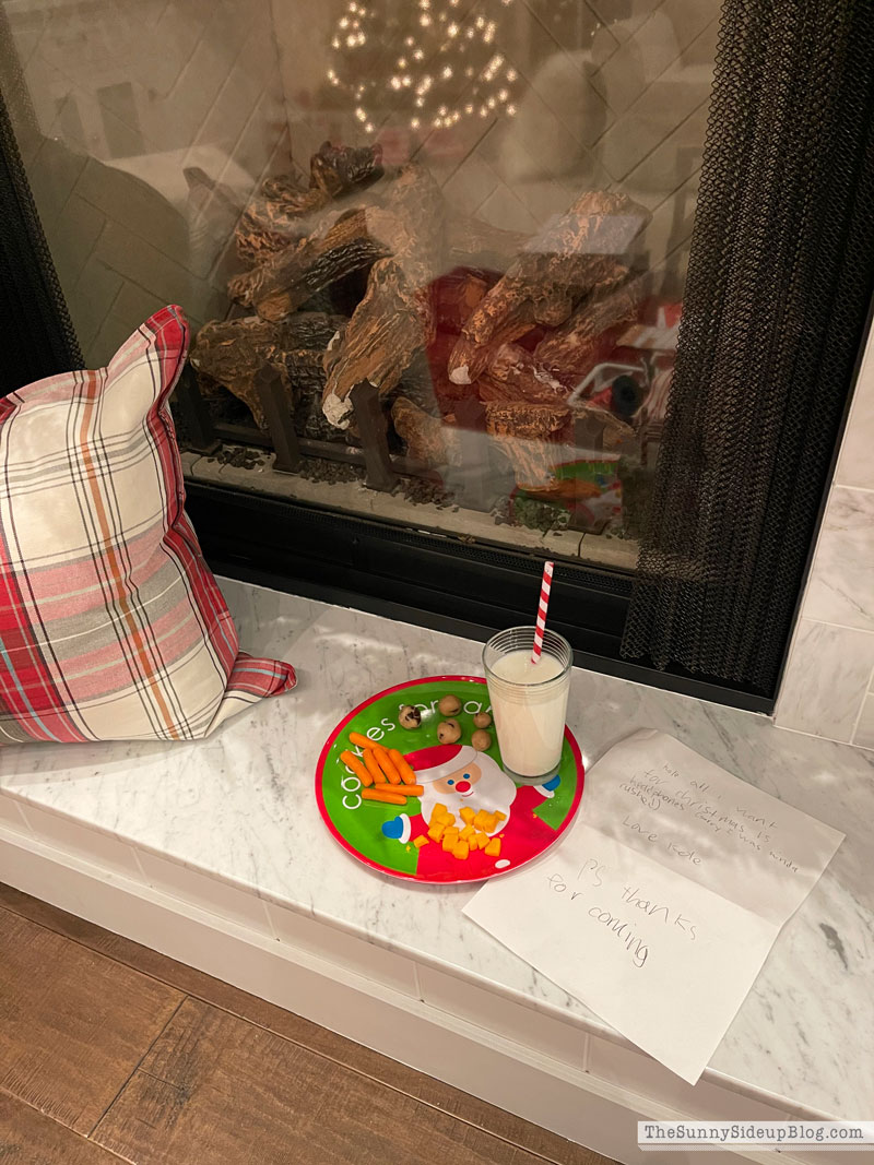 Holiday Decor Storage (Sunny Lifestyles)