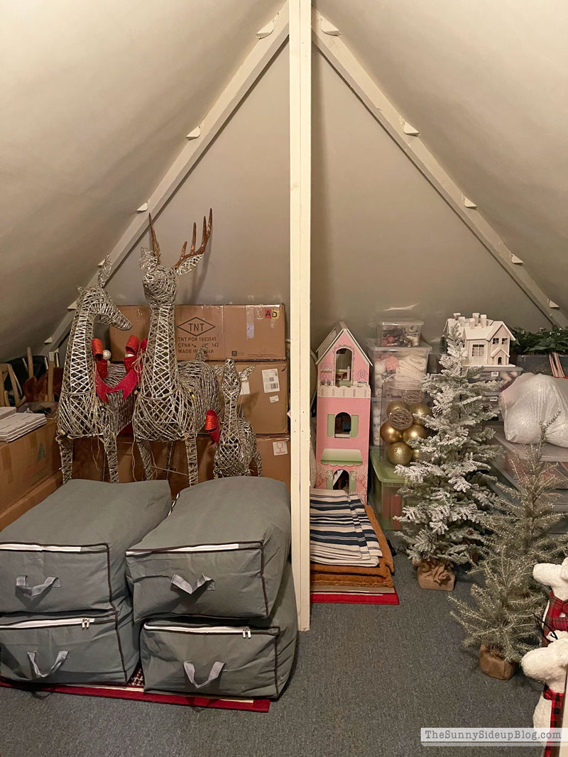 Holiday Decor Storage (Sunny Lifestyles)