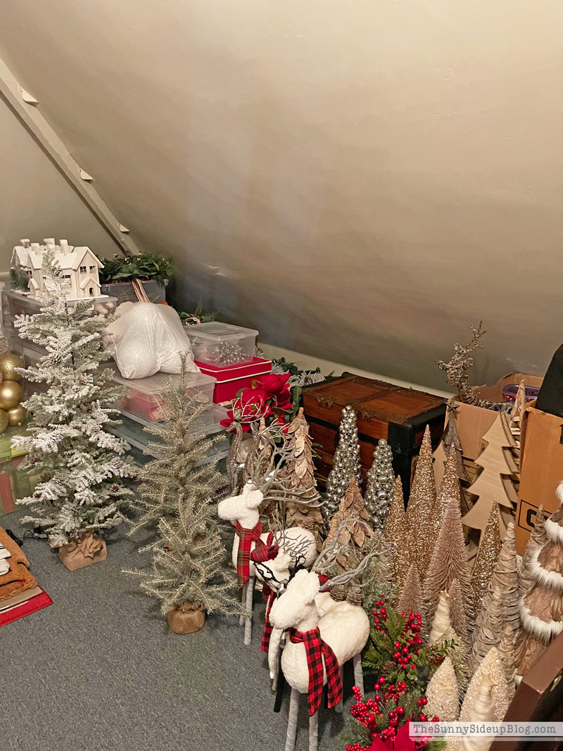 Holiday Decor Storage (Sunny Lifestyles)