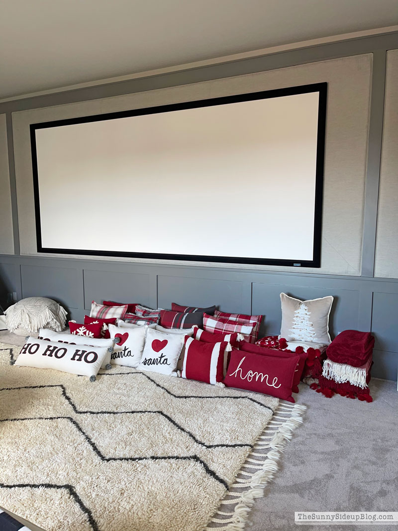 Holiday Decor Storage (Sunny Lifestyles)