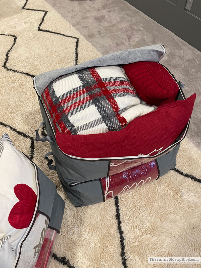 Holiday Decor Storage (Sunny Lifestyles)