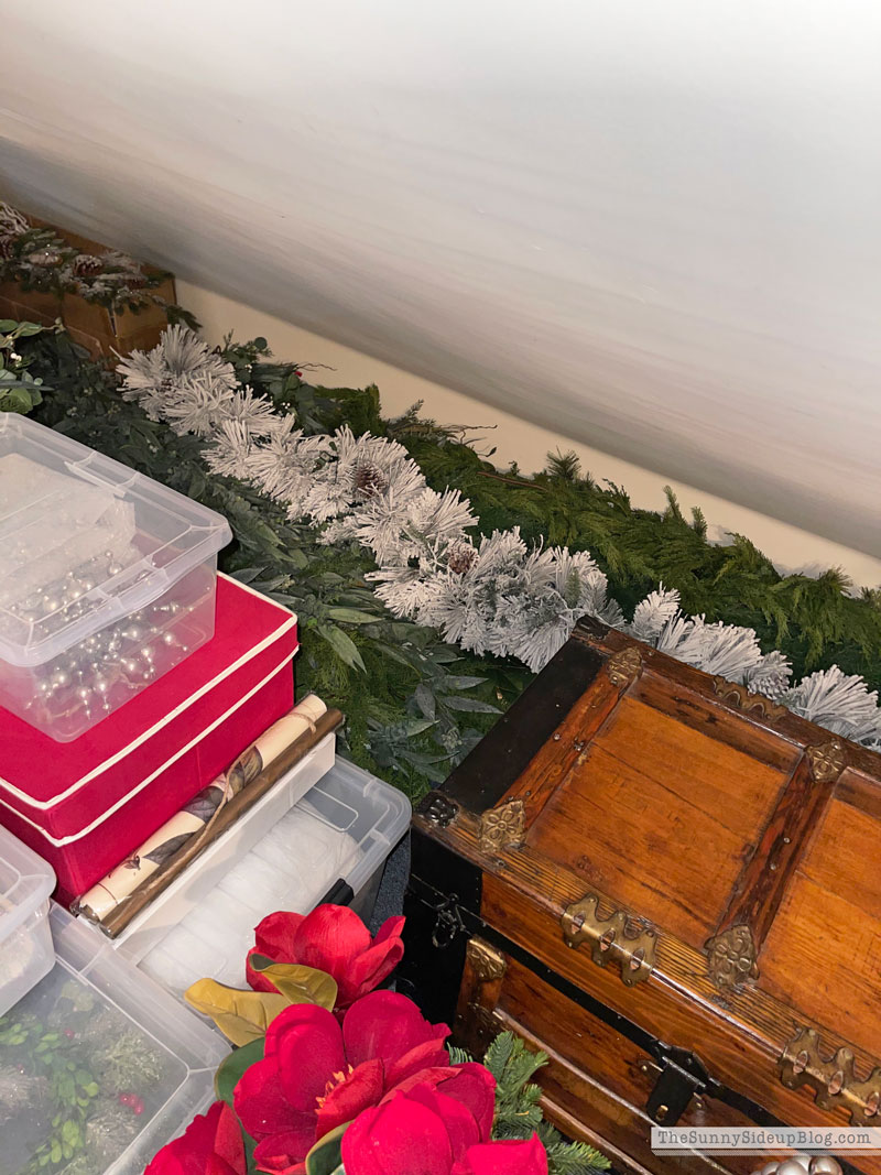 Holiday Decor Storage (Sunny Lifestyles)